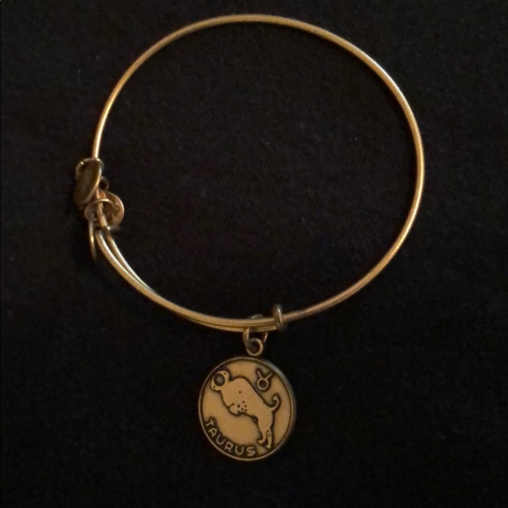 Taurus Alex and Ani